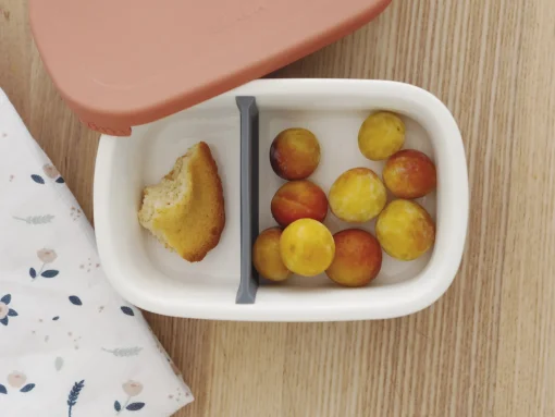 BÉABA Goûter Sain*Lunch Box Ceramique Mineral / Terracotta